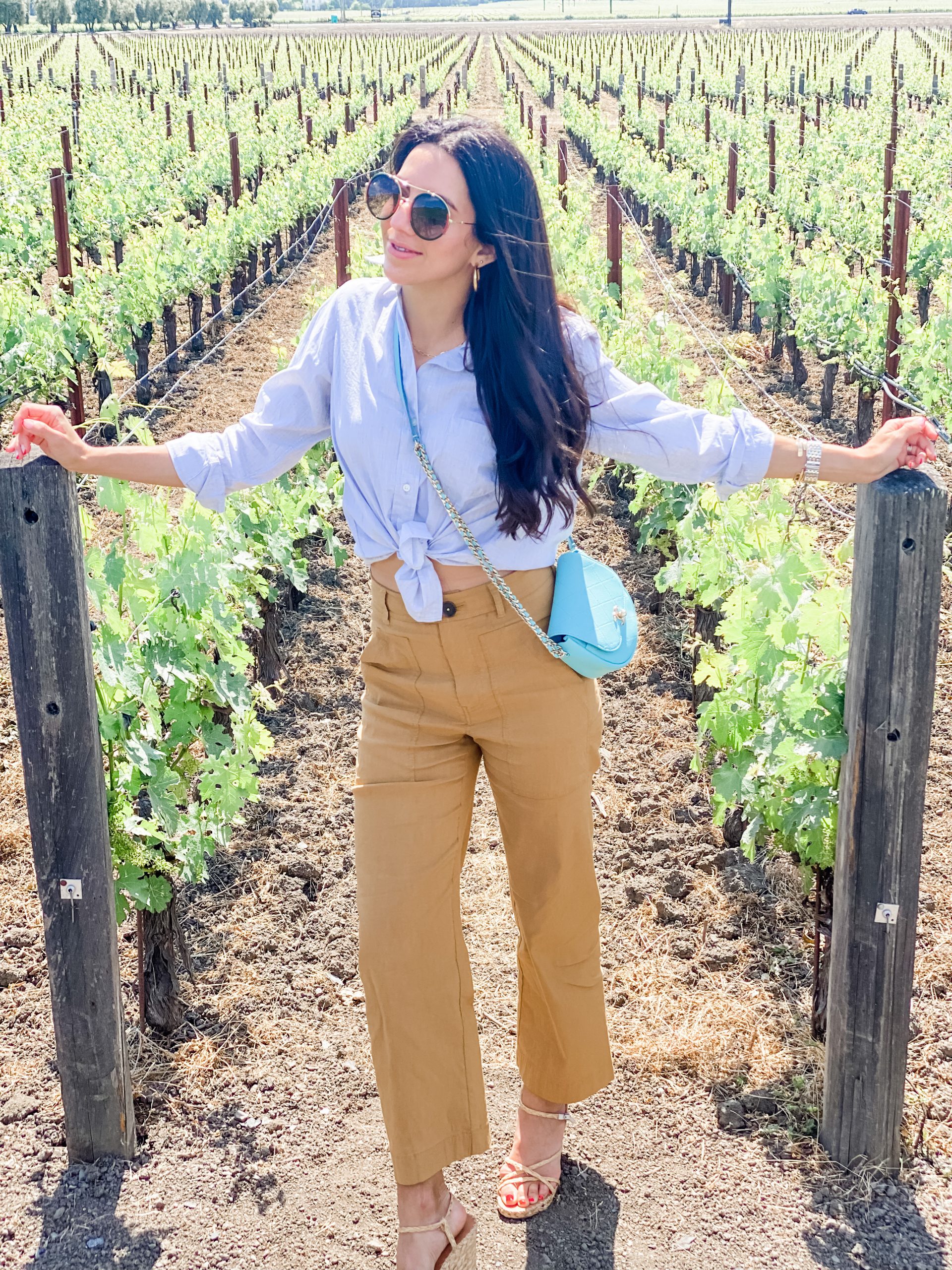 Wine Tasting Flight, Napa Valley Winery